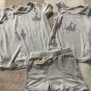 Childhoods 12/18 geese set bundle